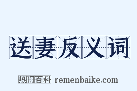 送妻反义词是什么意思的图片
